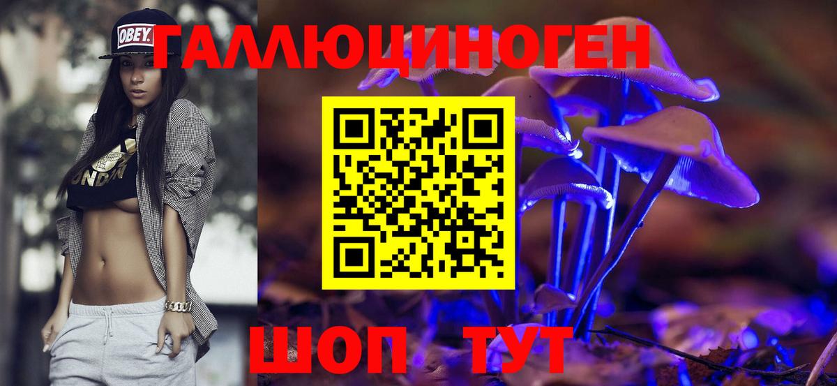 Галлюциногенные грибы Psilocybe  Вход с VPN  Димитровград  Псилоцибиновые грибы Magic Shrooms 
